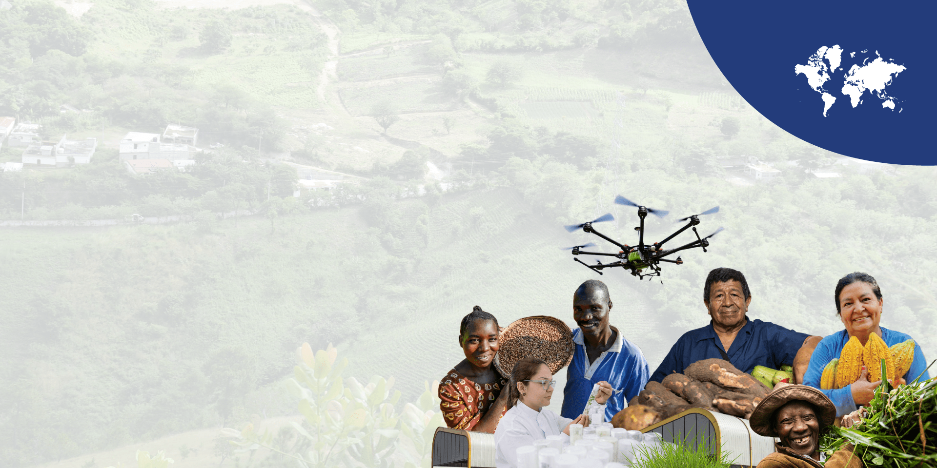 Stay Connected with the Alliance via our newsletters