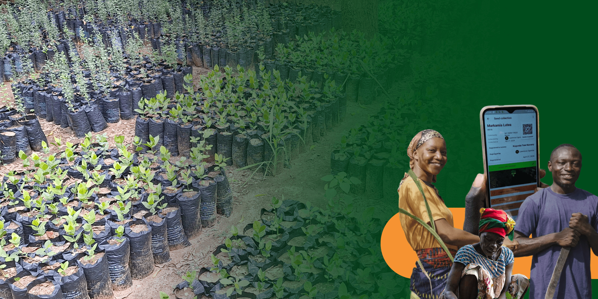Grow Trees. Grow Futures. Restore landscapes with farmers. - Alliance of Bioversity International - CIAT