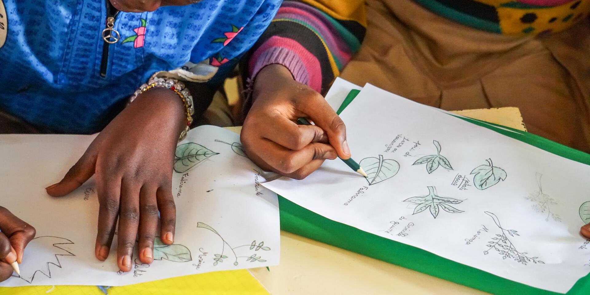 Growing the Future: A Hands-On Teacher&rsquo;s Guide to Reviving Forgotten Crops through Intergenerational Learning
