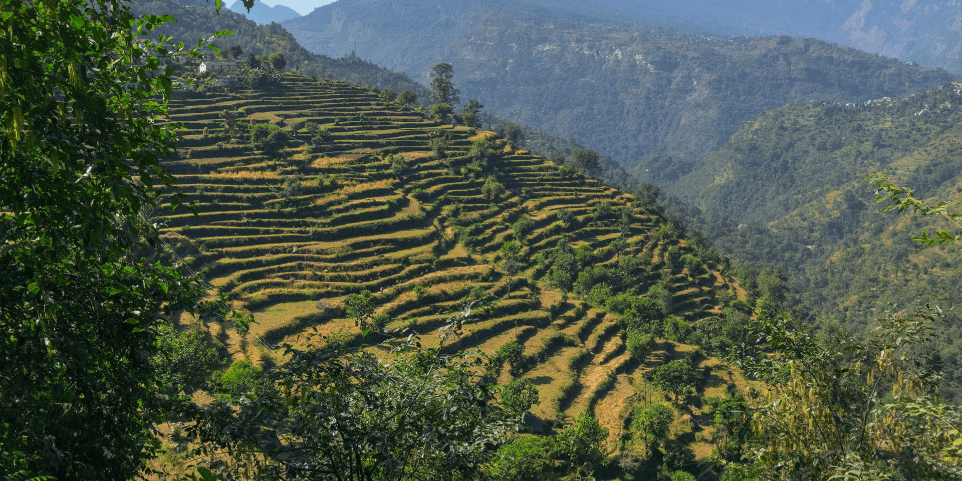 Himalayan Agroecology Initiative (HAI)