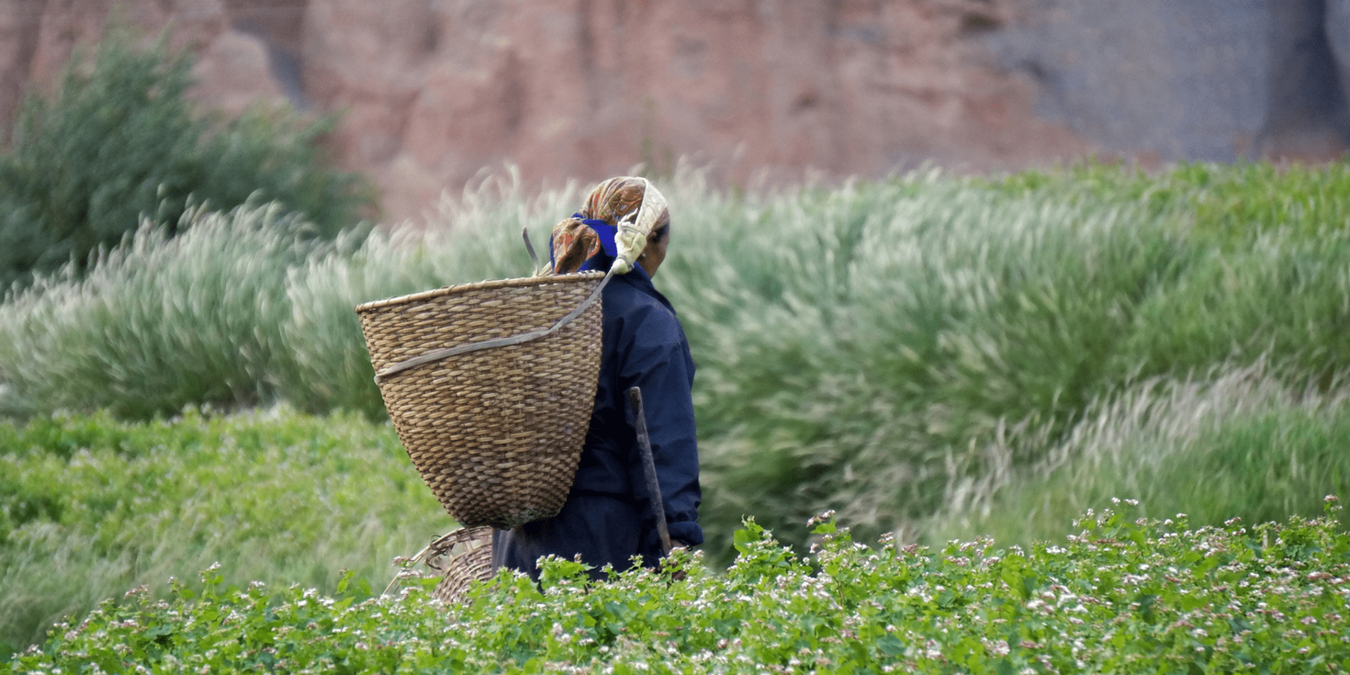 Himalayan Consultations Shape the Future of Sustainable Food Systems 