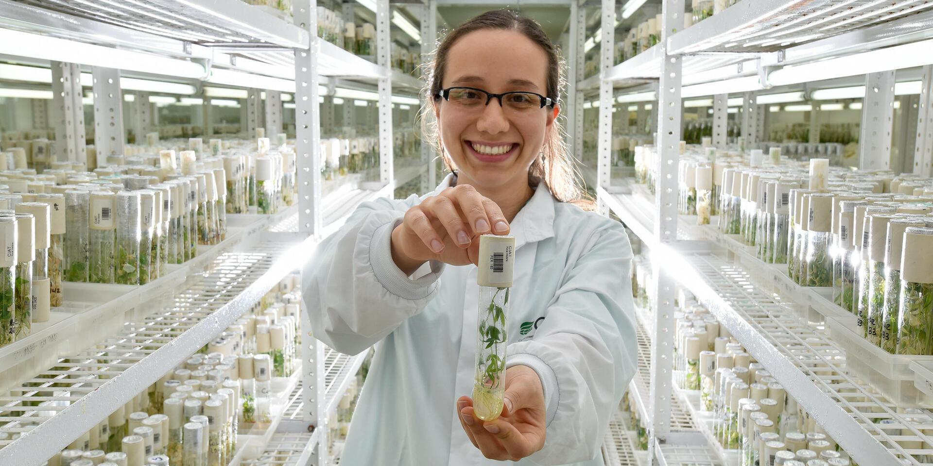 How gene banks safeguard our food security for the future 