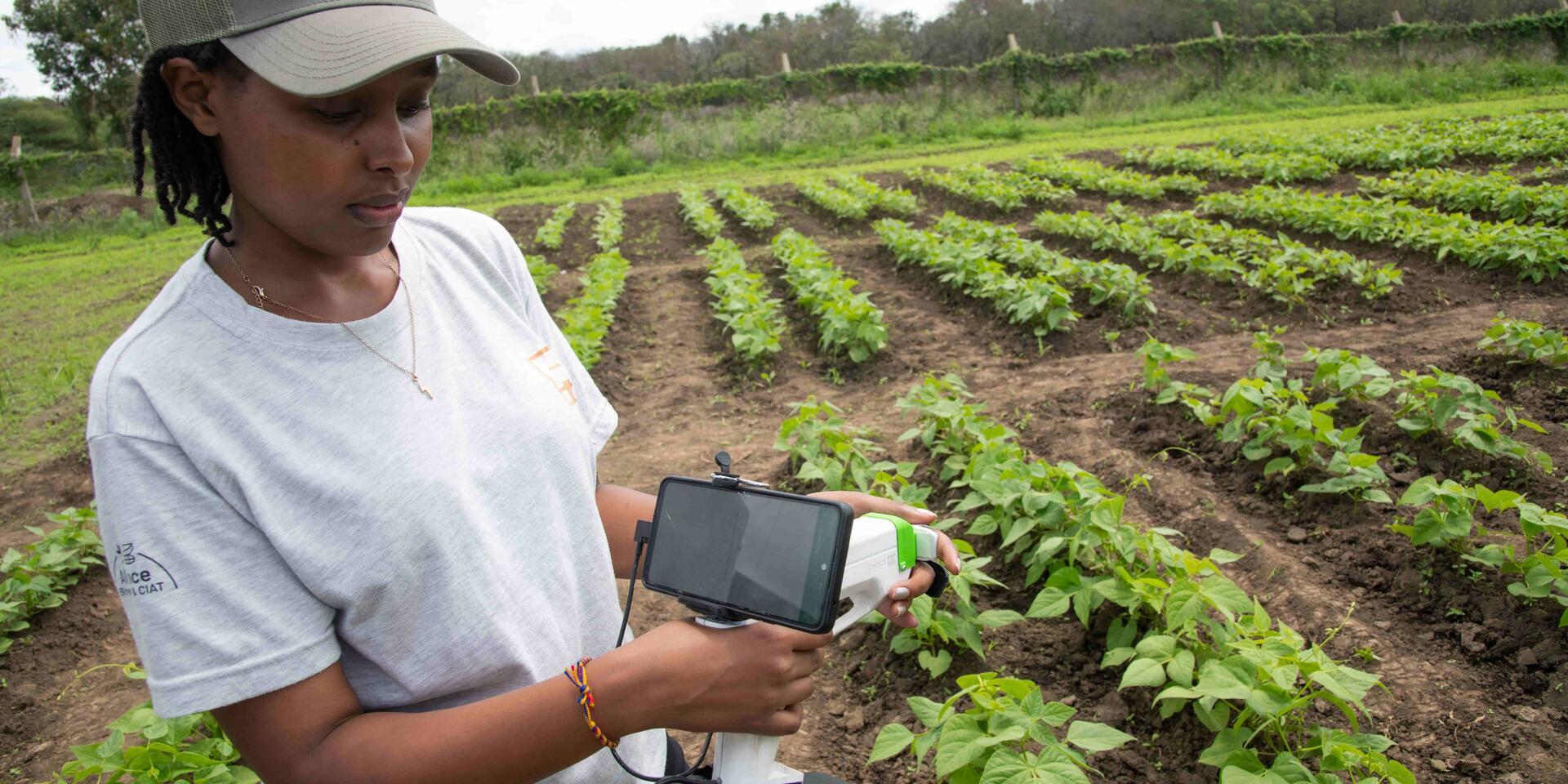 How inclusive design is shifting power to farmers and closing the seed adoption gap 