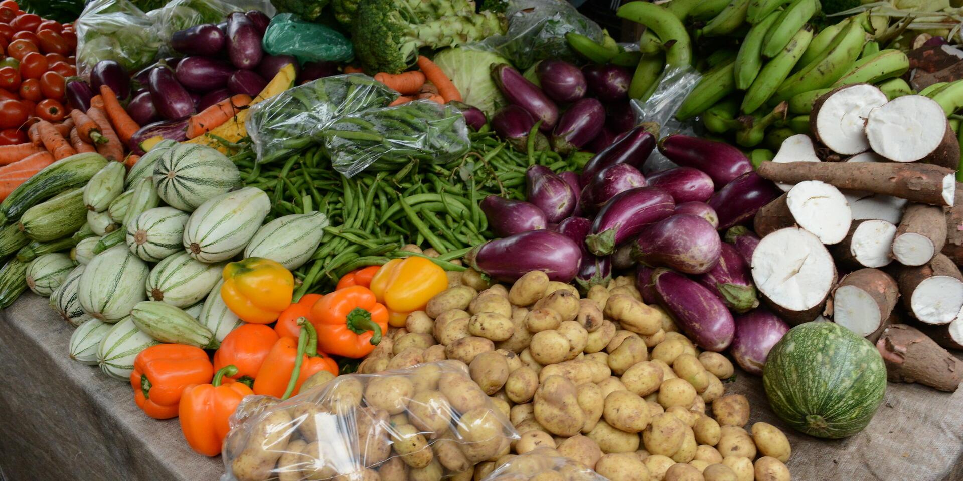 Top 10 Leafy Greens to Grow in the Salad Garden • Gardenary, image size:1920x960