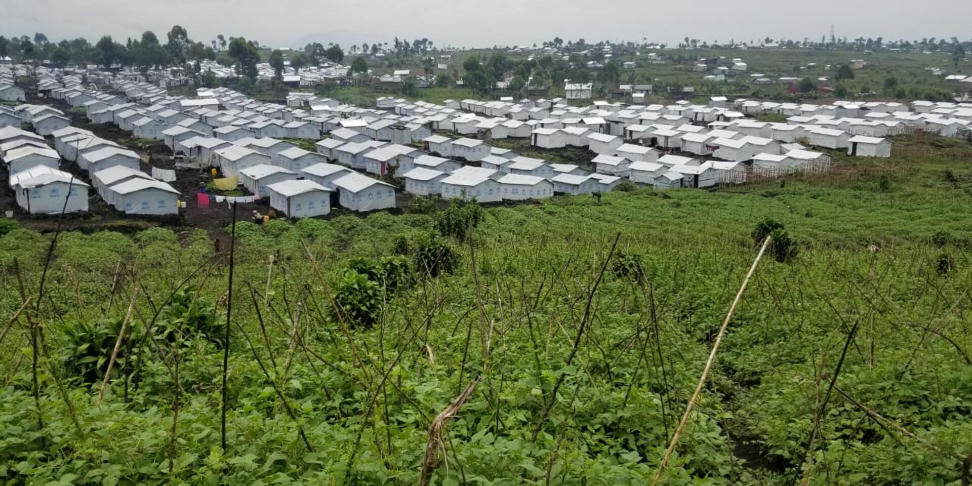 How PABRA's Support is Empowering Women Amidst Adversity in North Kivu 