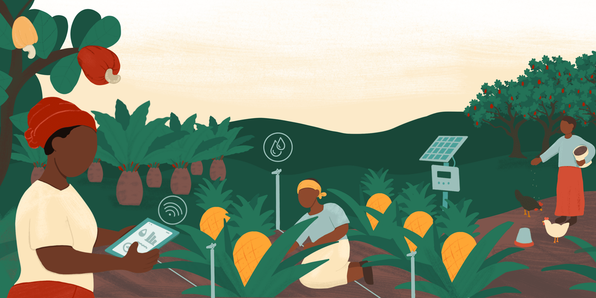 #WestAfricaAgriFoodChallenge: applications are open until July 3! 