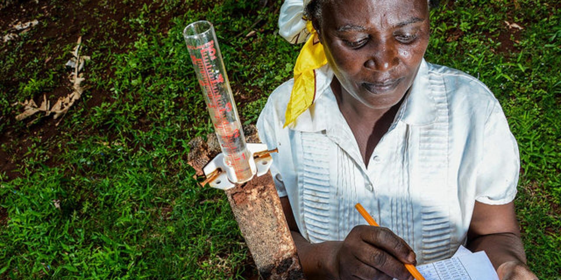 Enabling knowledge sharing and exchange in gender research across CGIAR: a working paper series