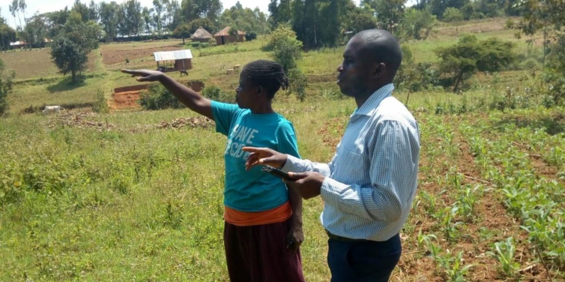 Increasing soil carbon improves food security and income in Western Kenya