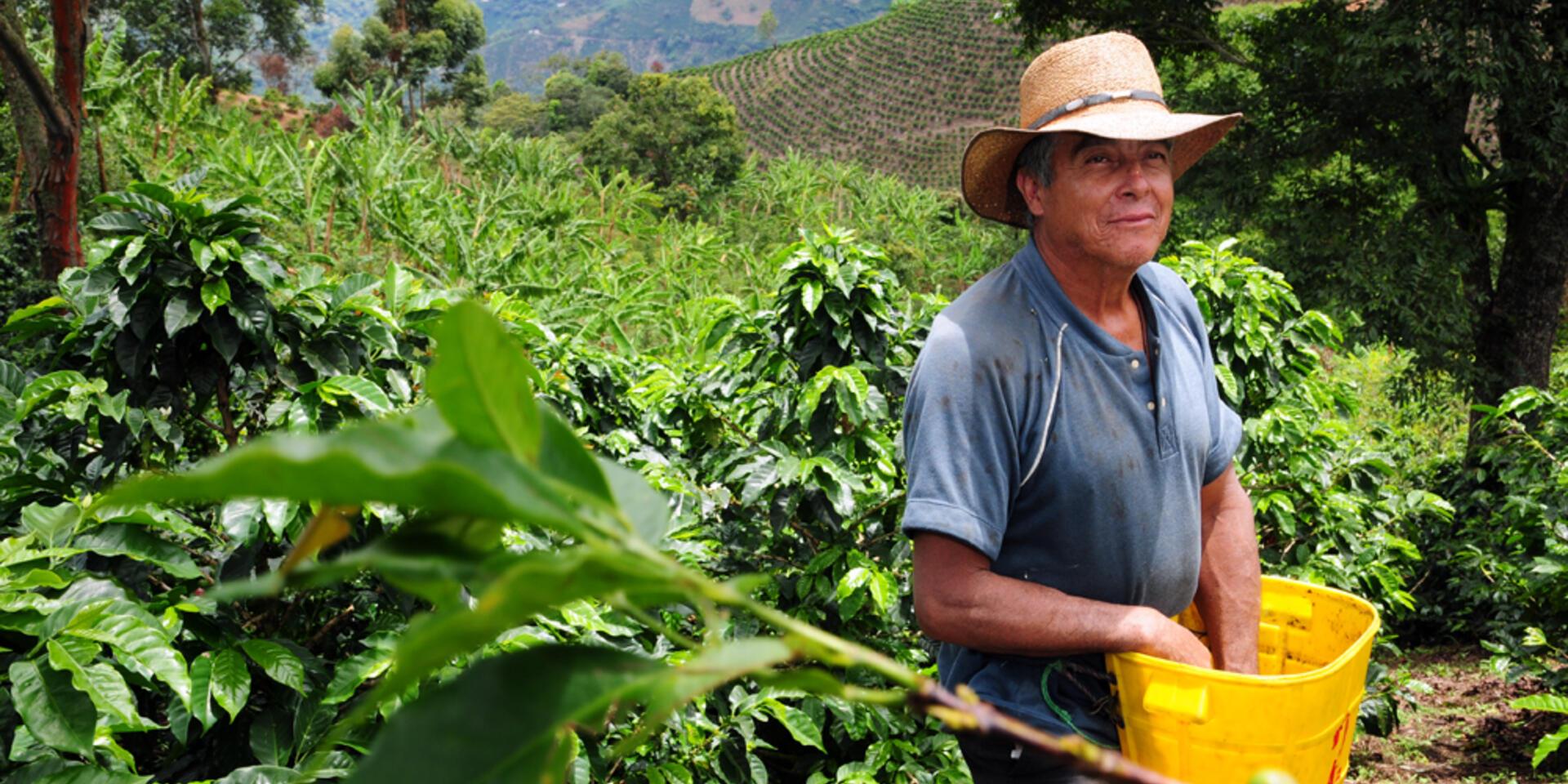 Aqu&iacute; est&aacute;n los ganadores de proyectos innovadores que impulsar&aacute;n el agro en Colombia, con el apoyo del Reino Unido