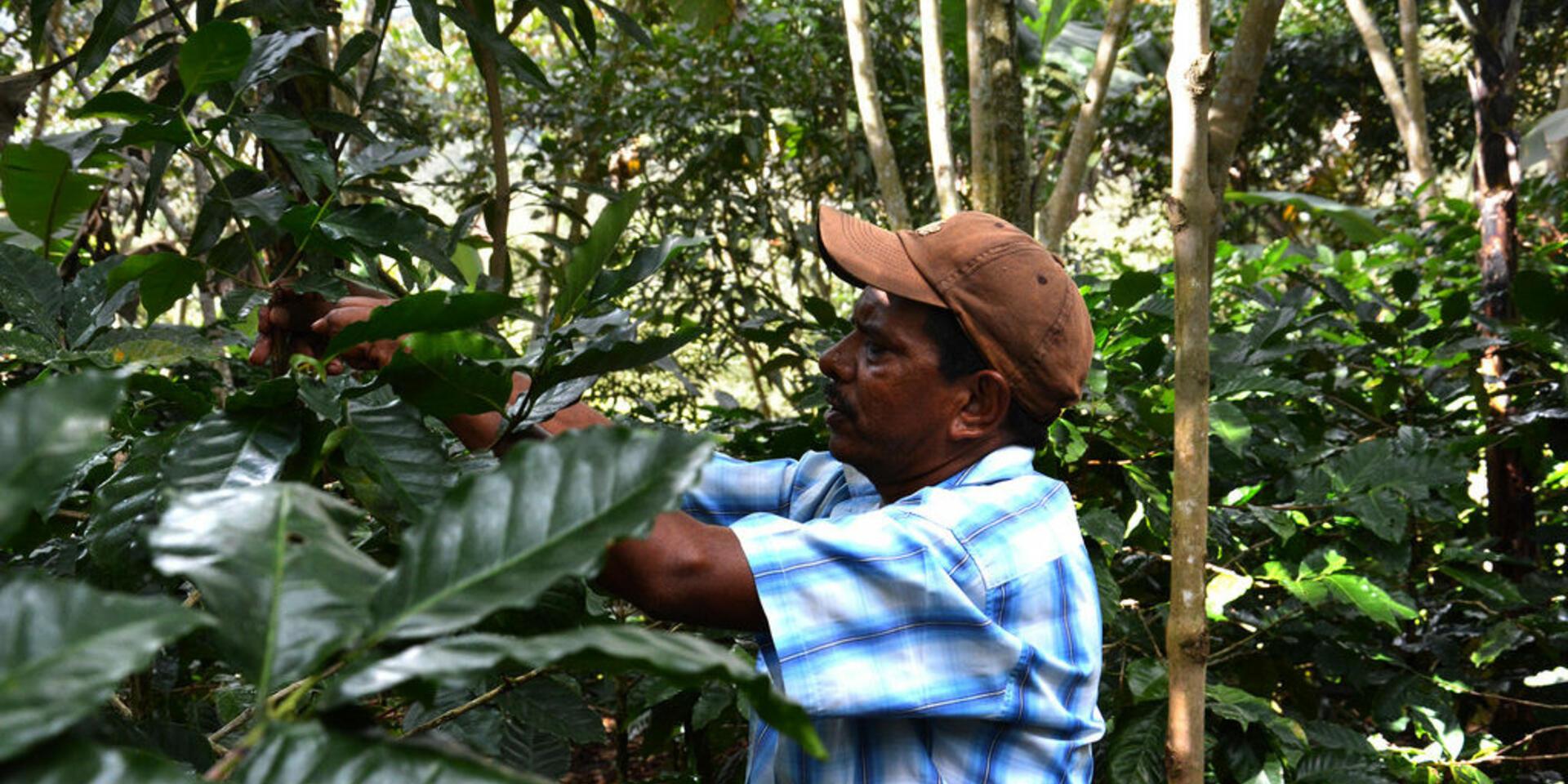 Retos del cambio clim&aacute;tico para Am&eacute;rica Latina y el Caribe