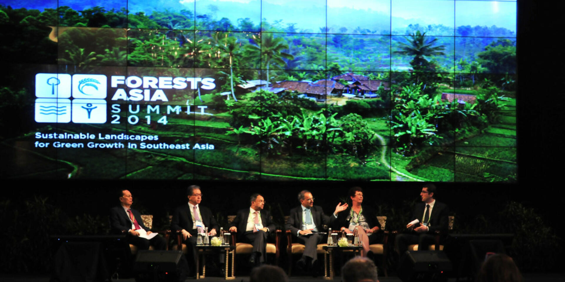 An eye on deforestation: Terra-i goes to Asia