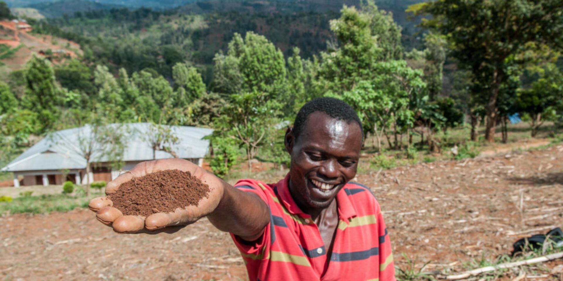 Shifting sands: putting carbon back into soils