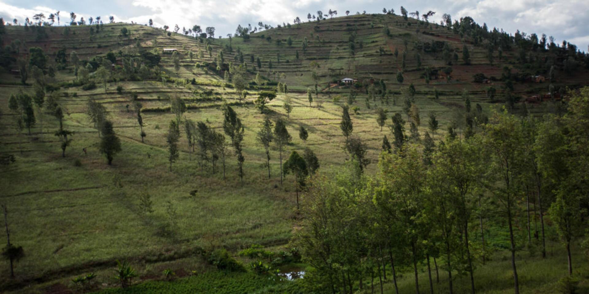 Exploit local-level opportunities for sustainable land management: Lessons from a multistakeholder platform in Tanzania