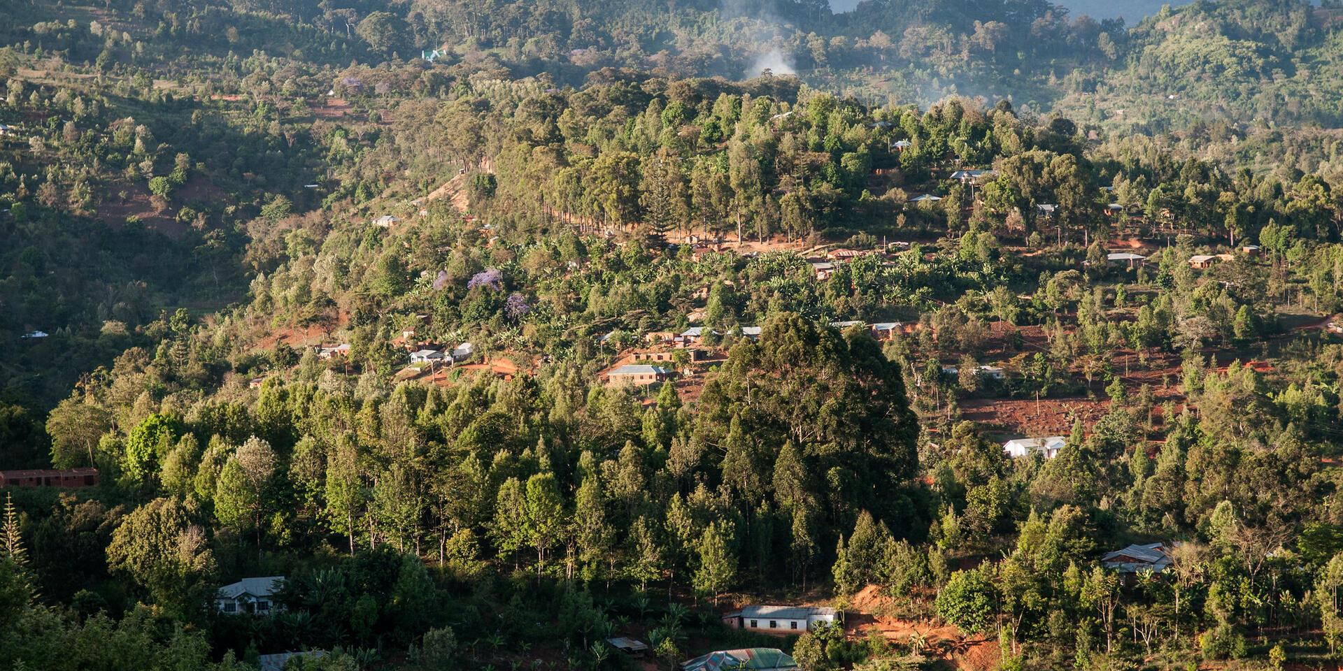 Projects and Flagship Initiatives; Tanzania - Alliance Bioversity International - CIAT