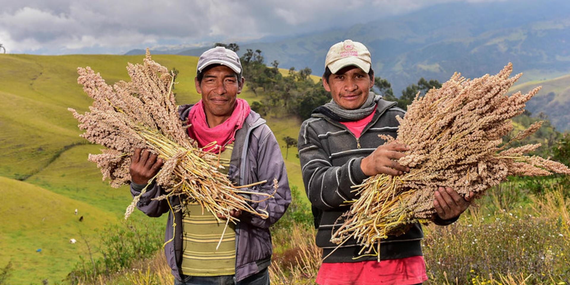 Boyac&aacute;: Seguridad alimentaria en tiempos de COVID-19