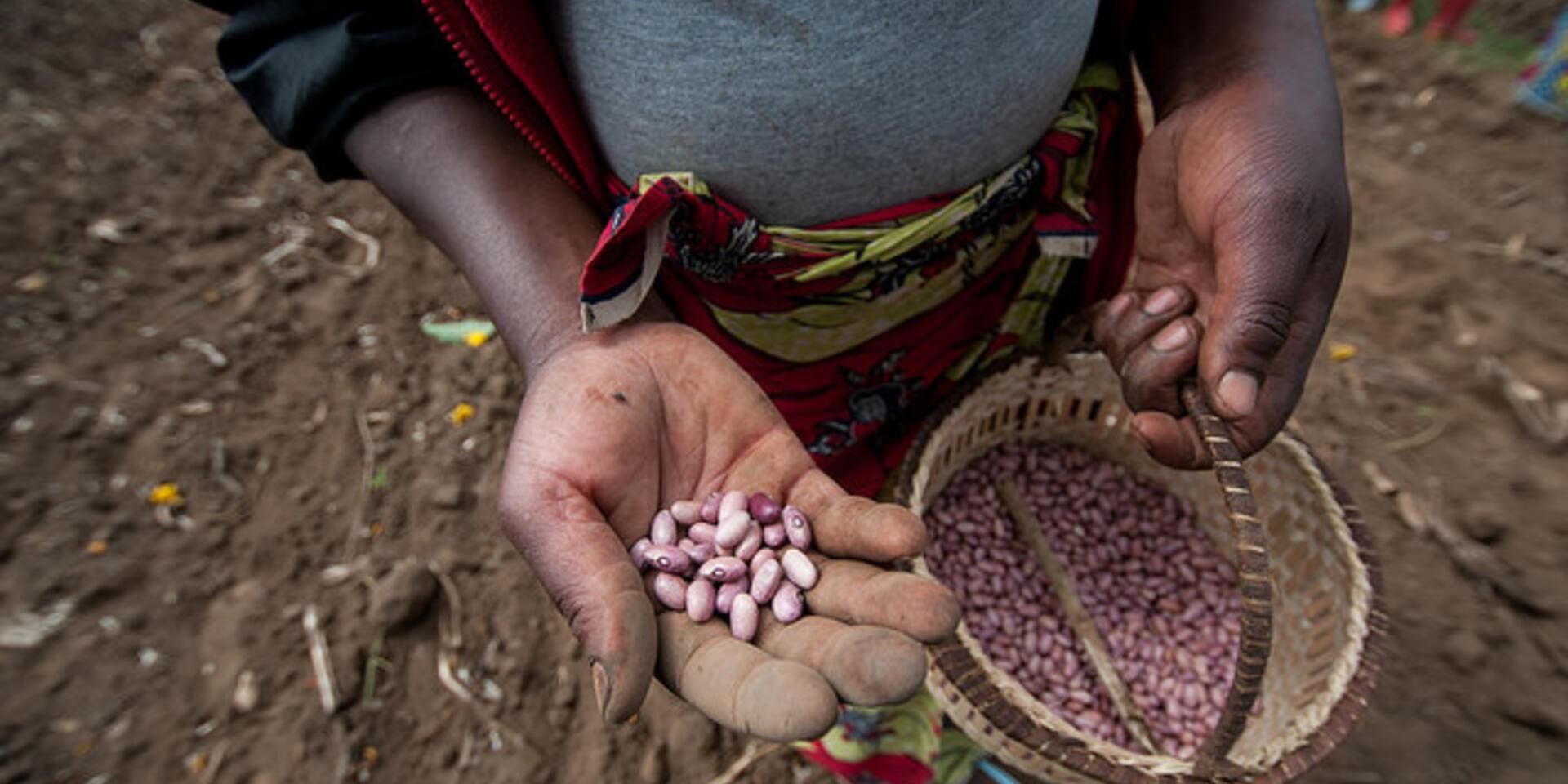 Why getting the right food on the table is central not just to the health of our children, but to the health of our continent