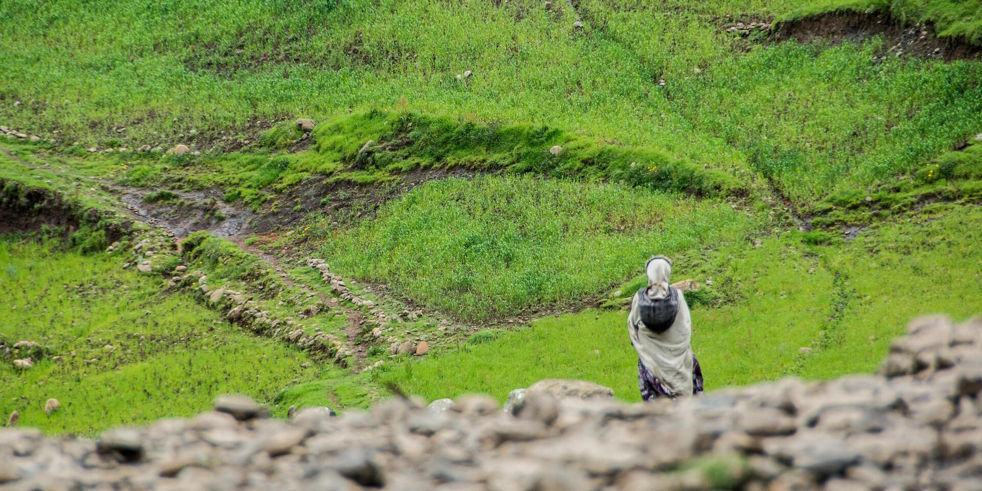Debre Berhan, central Ethiopia