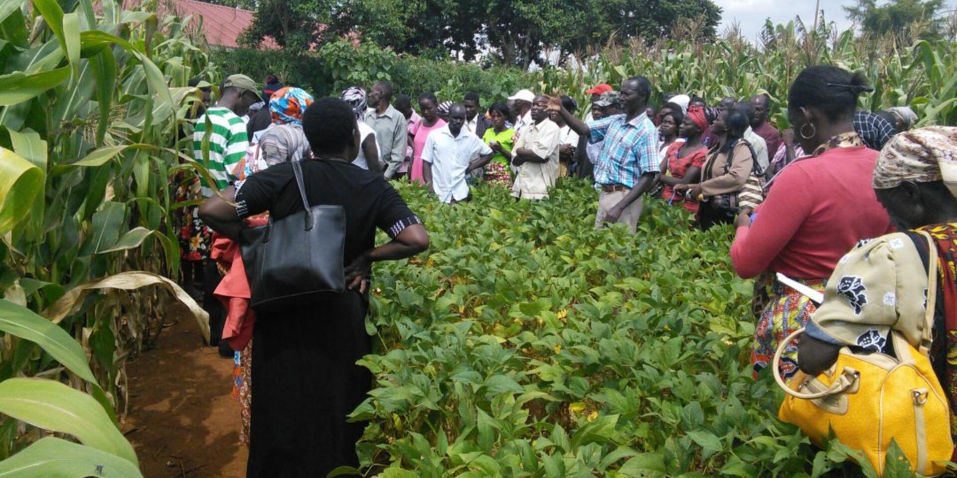 Seeing is believing: the impact of soil management