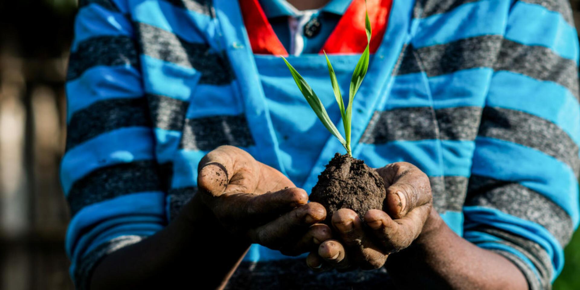 Africa RISING: Finding solutions to tackle drought