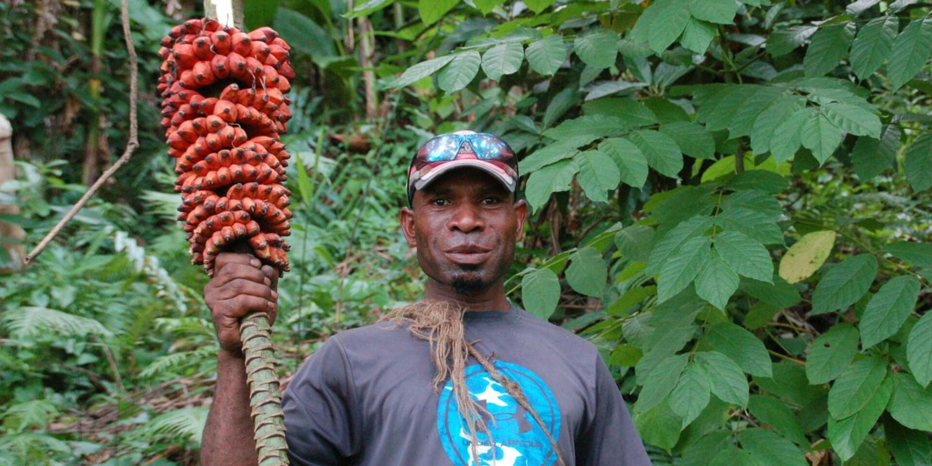 En busca de banano silvestre en Pap&uacute;a Nueva Guinea