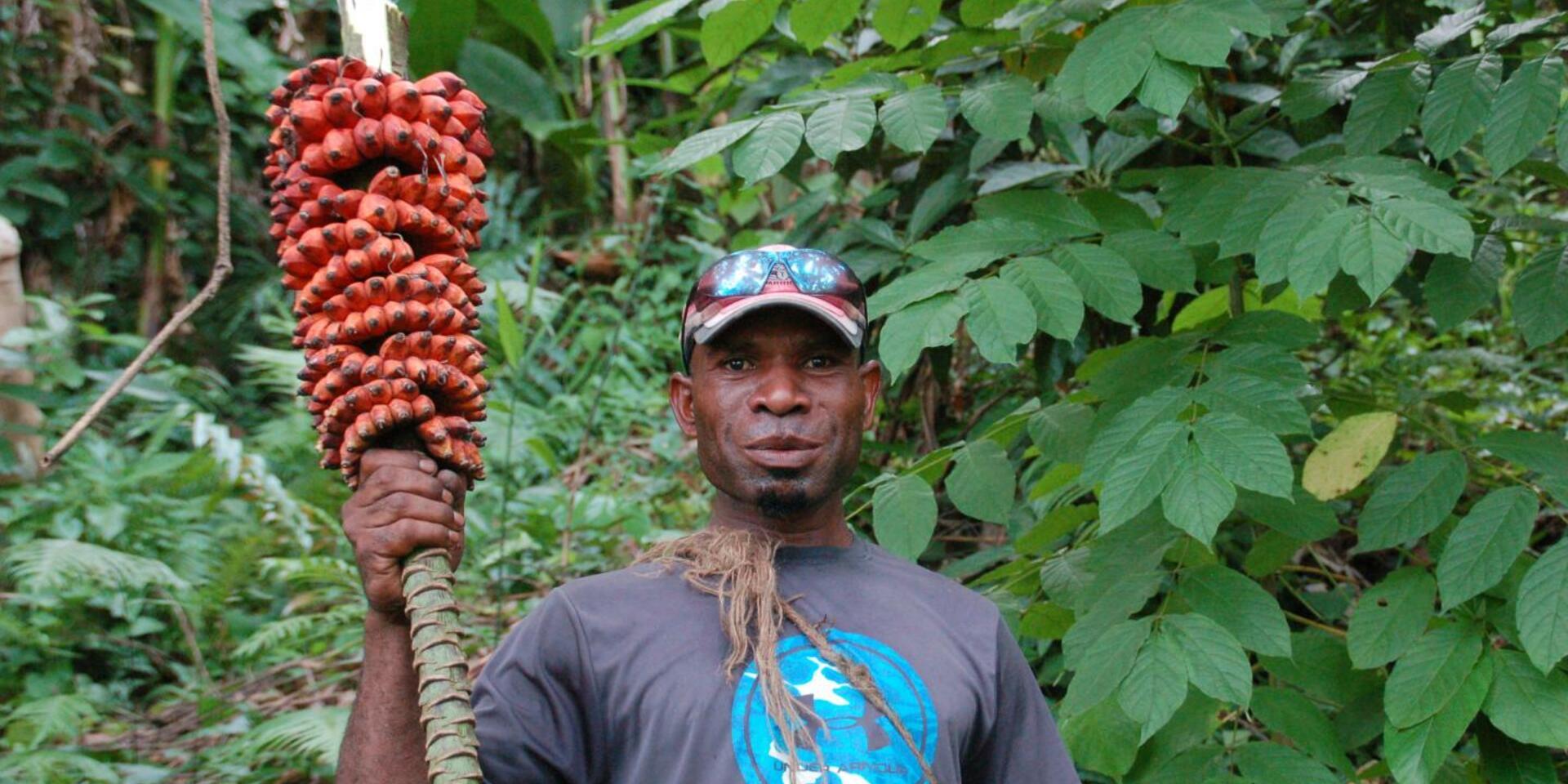 Man holding a bunch of red bananas