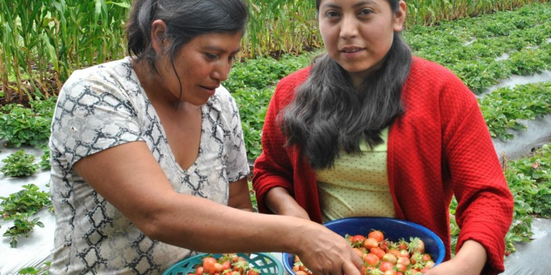 Alianza de organizaciones unen esfuerzos para impulsar el desarrollo rural sostenible de mujeres y j&oacute;venes de honduras