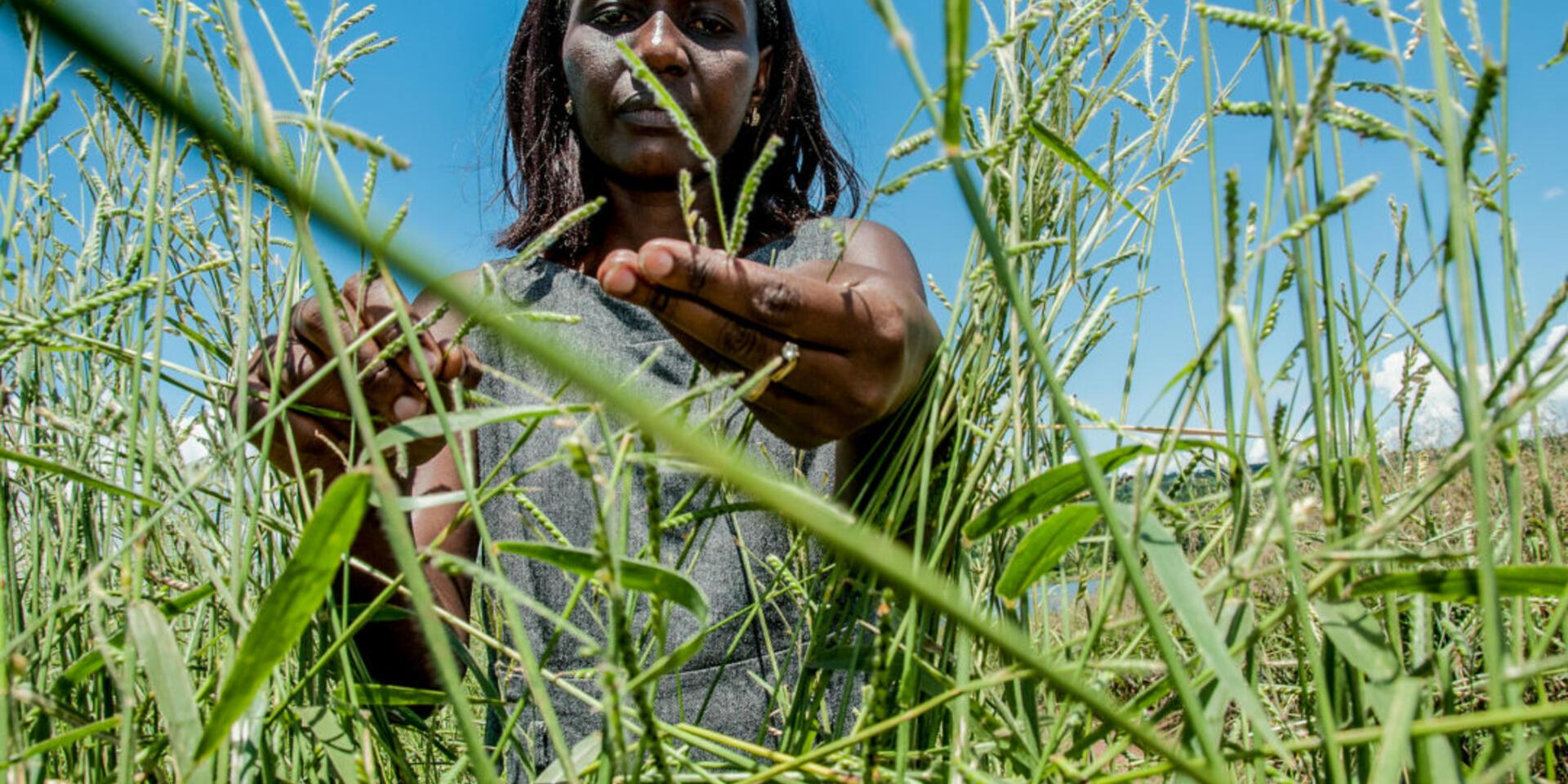 No compromise: food security and carbon hoofprints