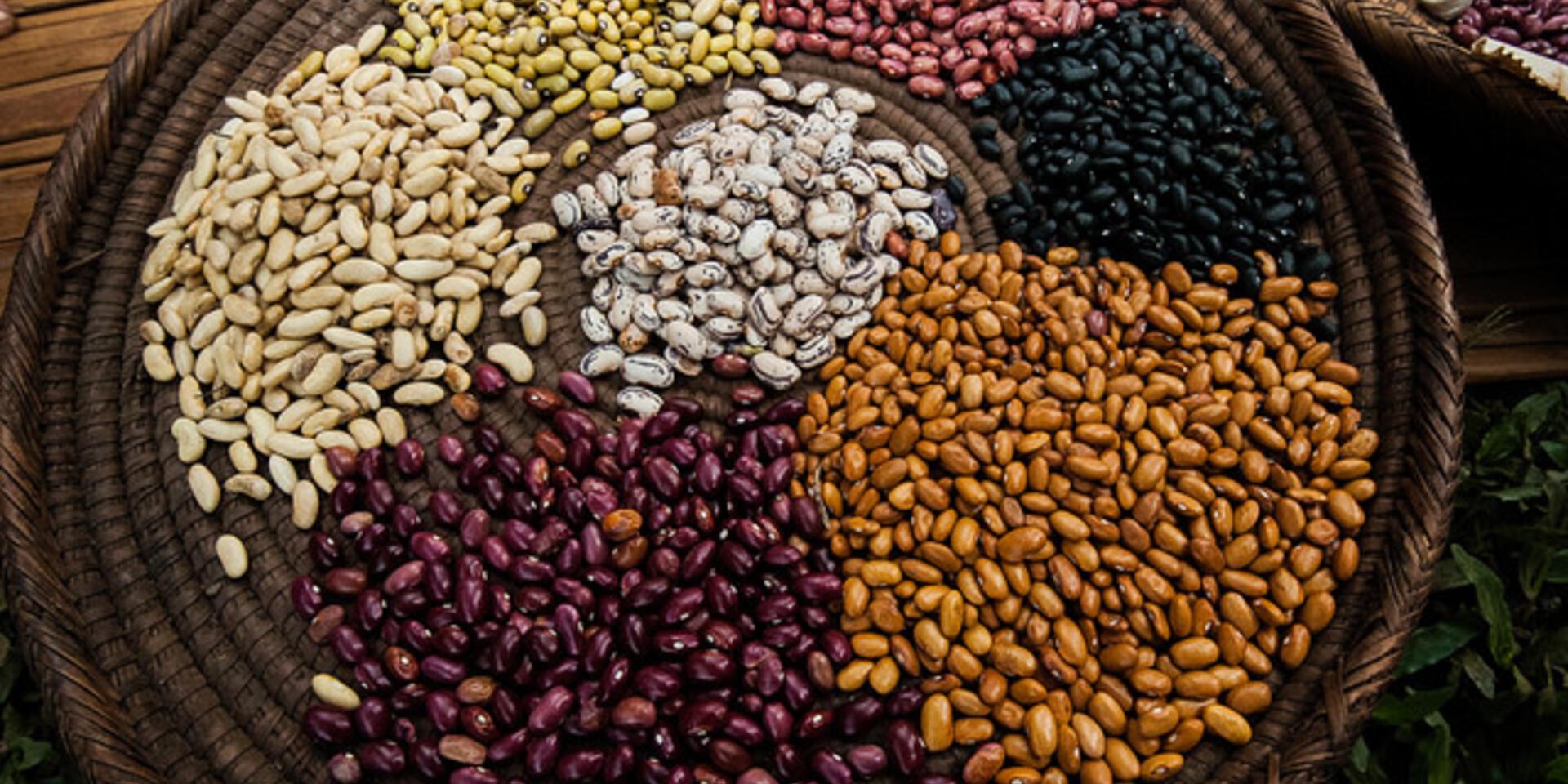 Snack bars with a winning twist: beans in the international spotlight