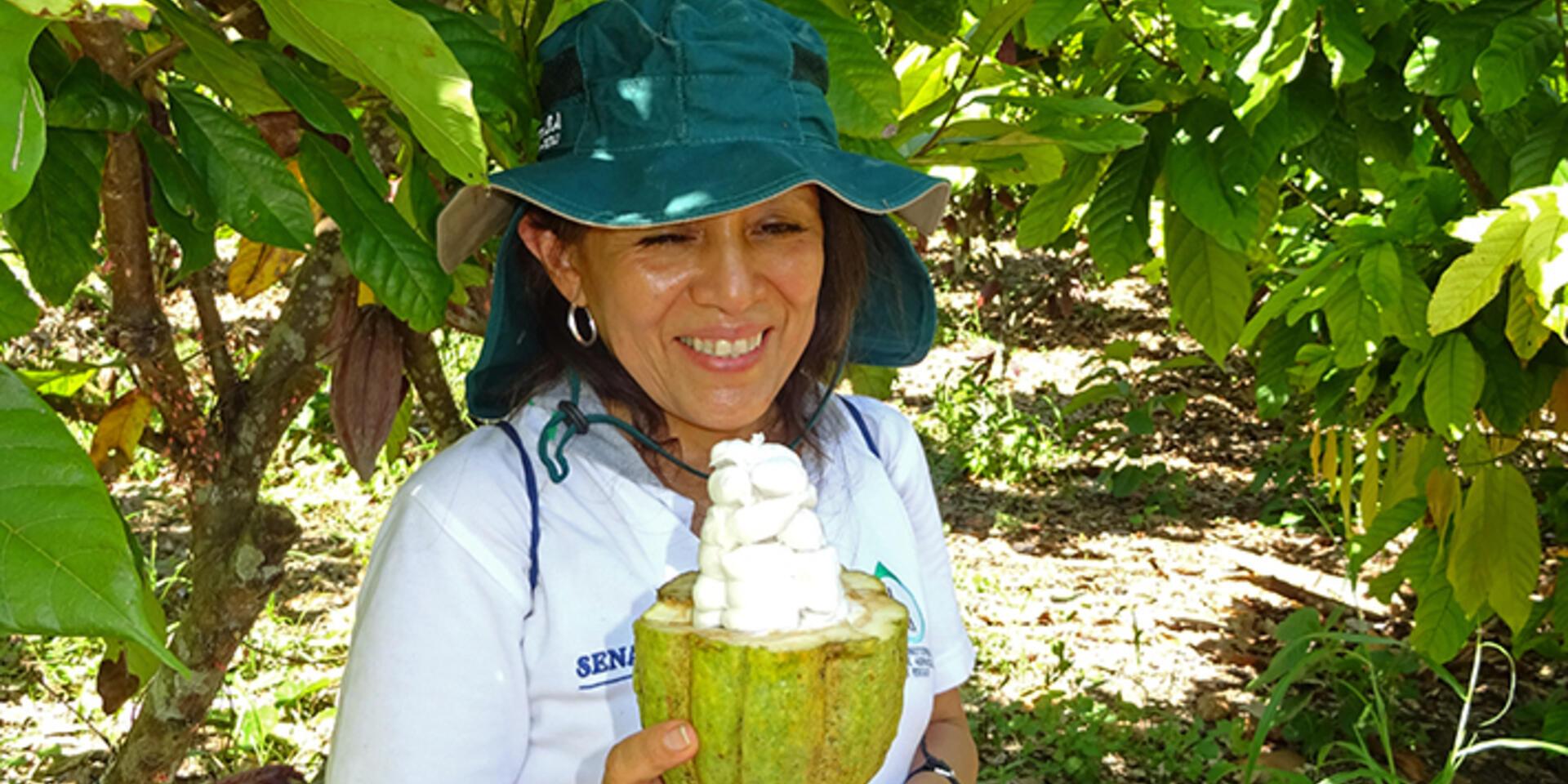 Cadmium in Peruvian cacao: framing the problem and investigating solutions