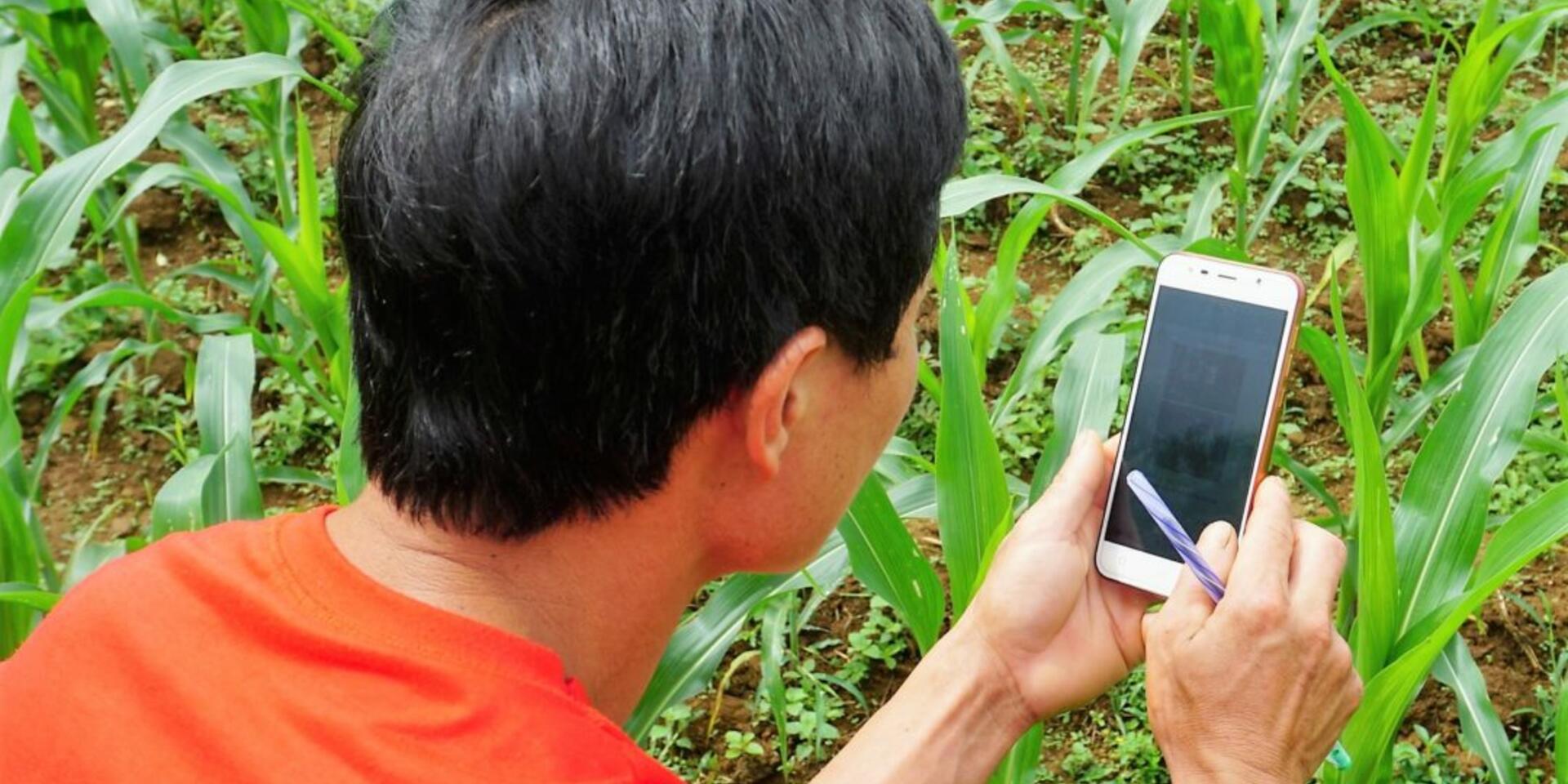 Aligning needs with solutions: Data-driven agricultural innovation for Vietnam&rsquo;s farmers