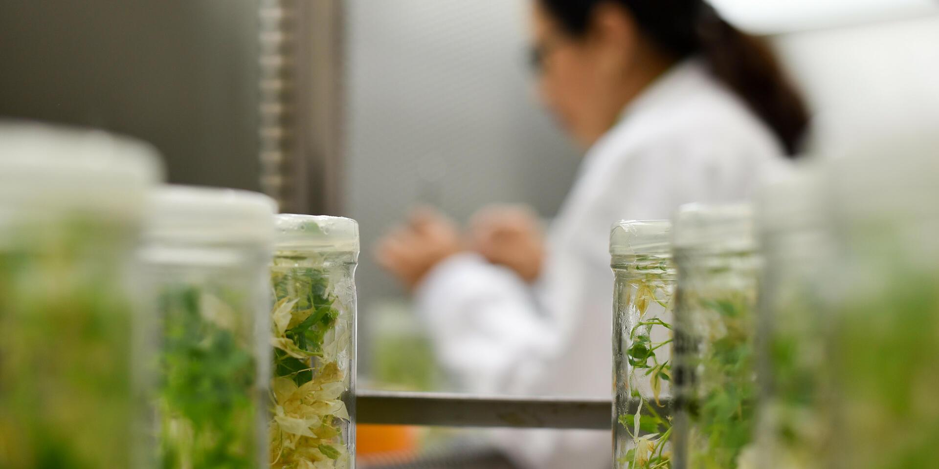 agricultural biological research