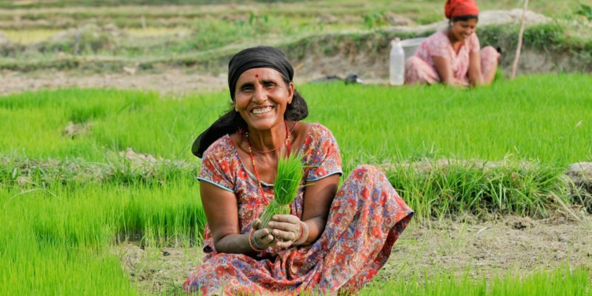 CIAT and ICAR expand partnership addressing challenges to South Asian agriculture