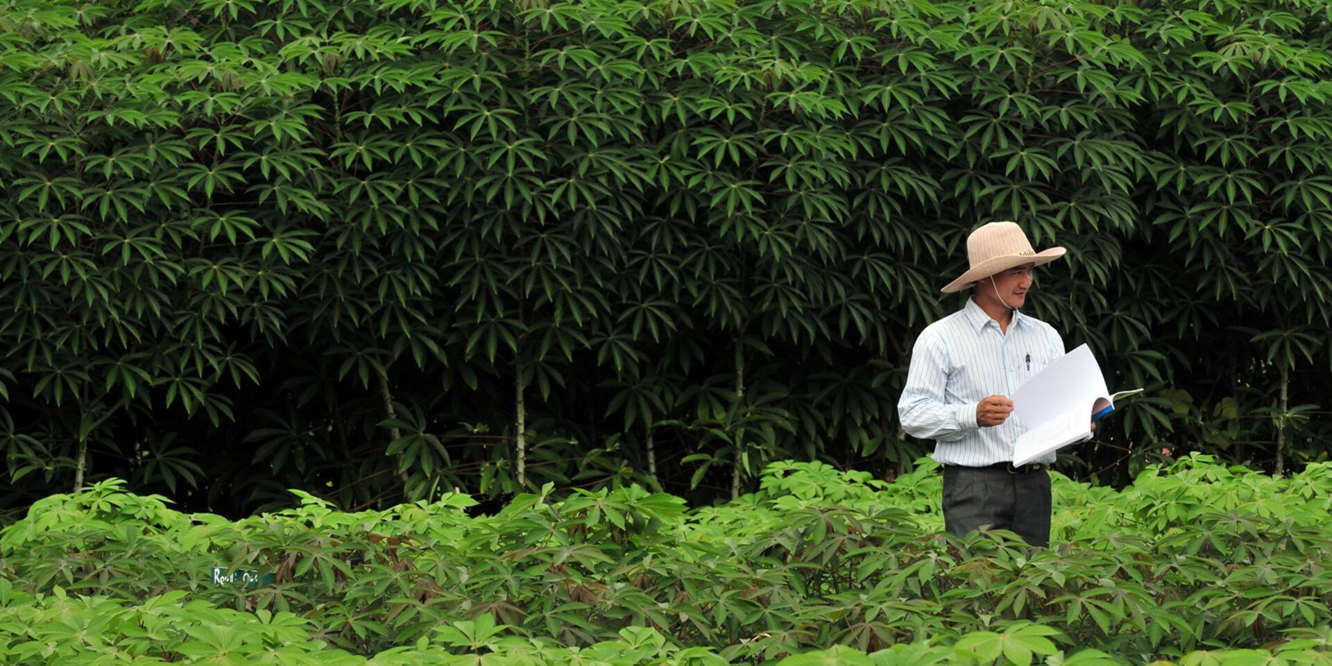 Laos - Alliance Bioversity International - CIAT
