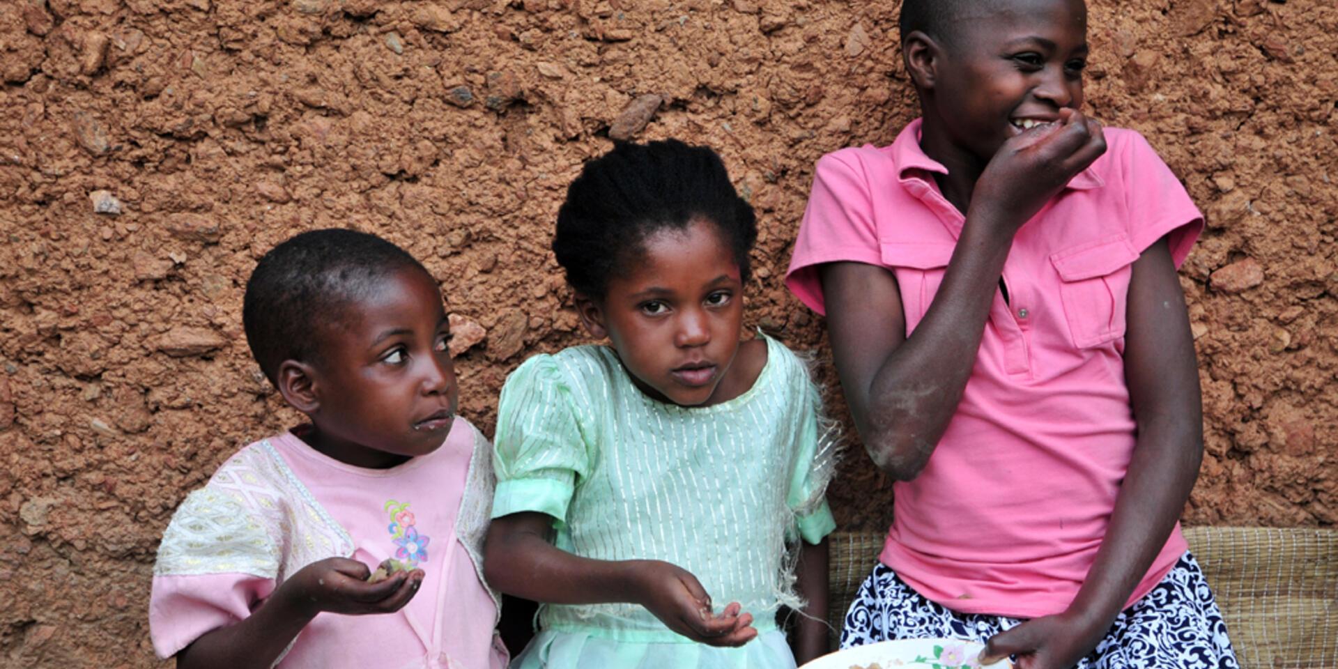 Announcing a new Value Chains for Nutrition project for 2016-2018
