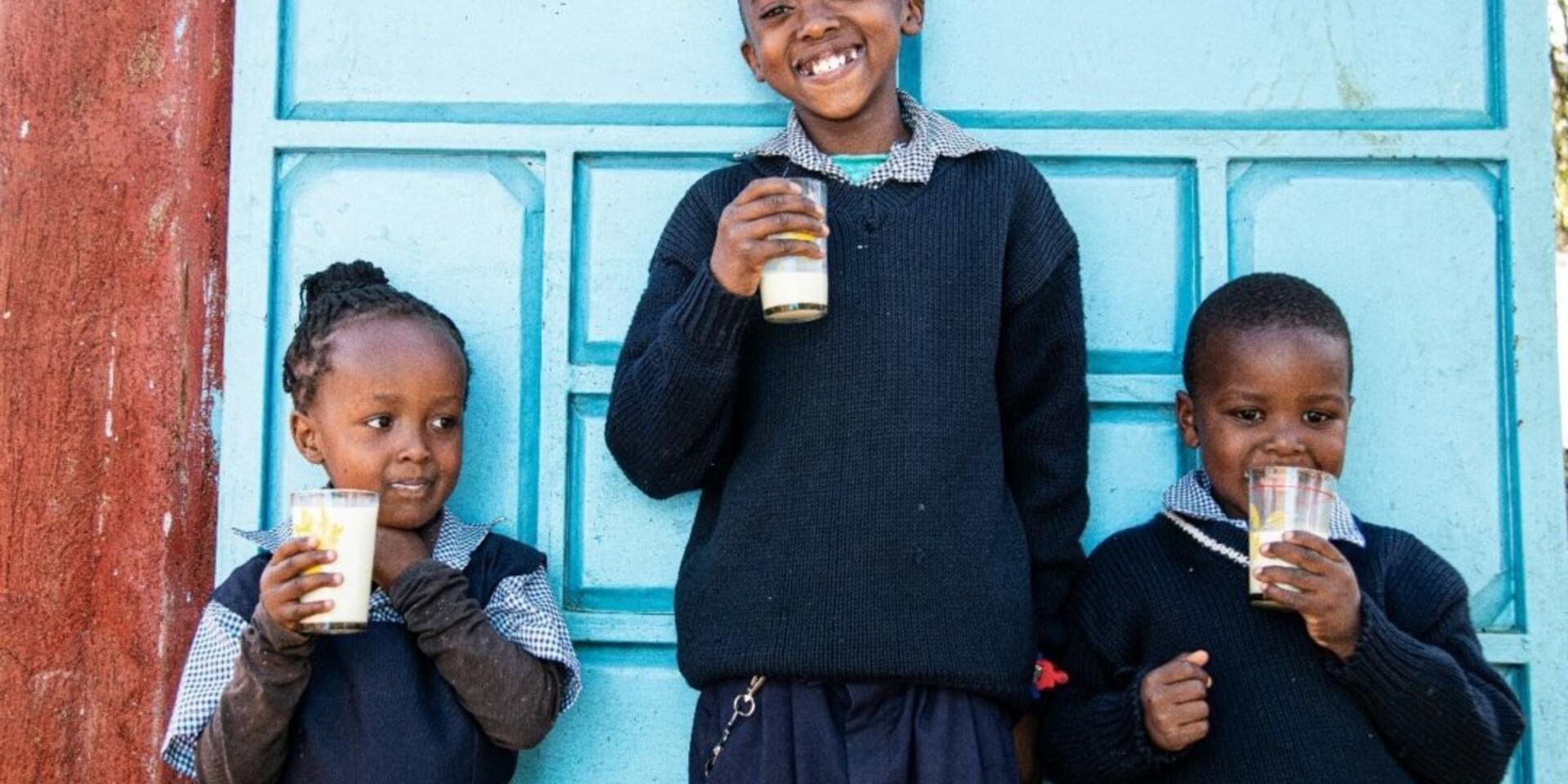 Milking opportunity in the foothills of Mount Kenya