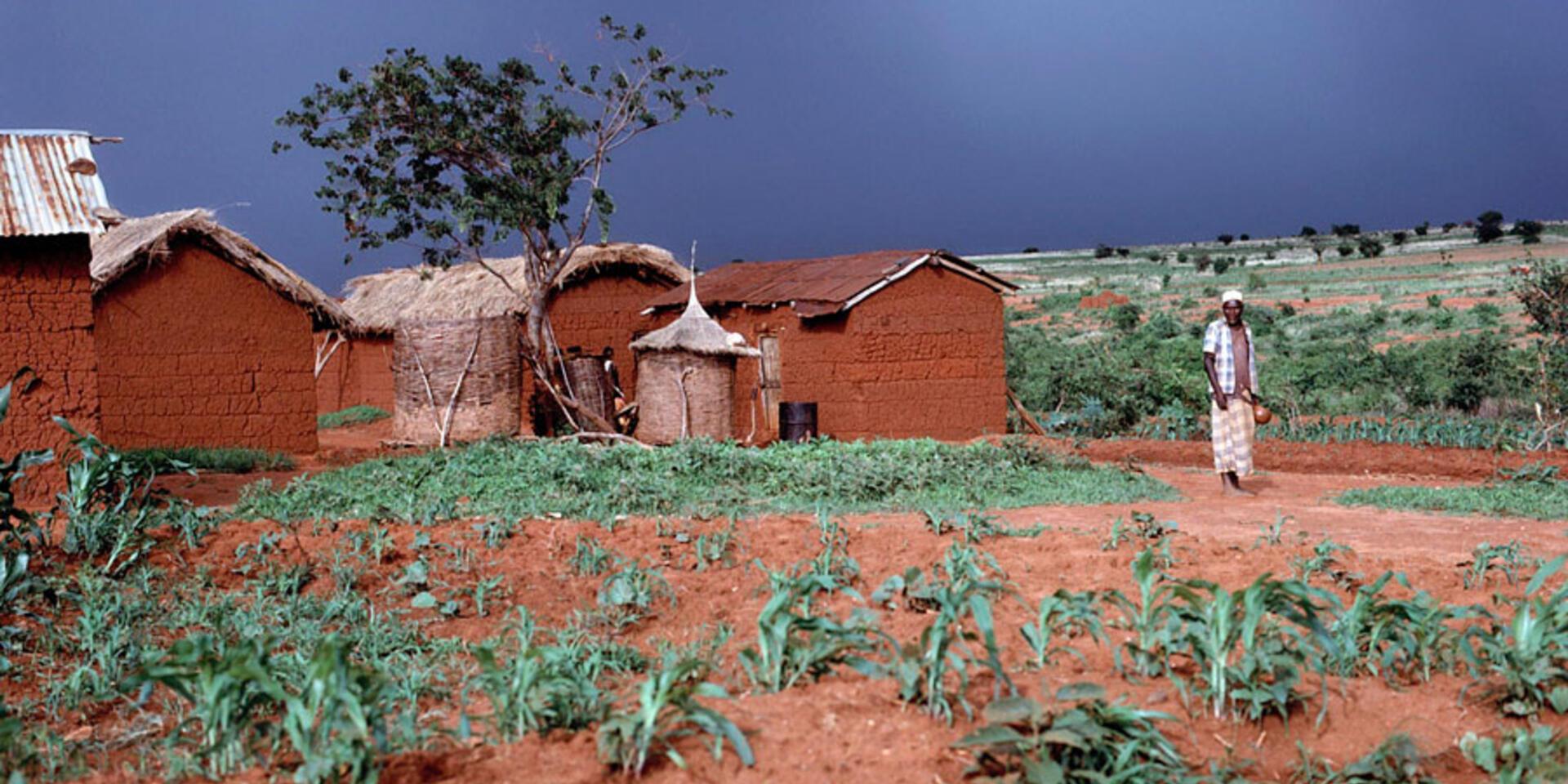 How to move beyond technology in 'sustainable intensification'