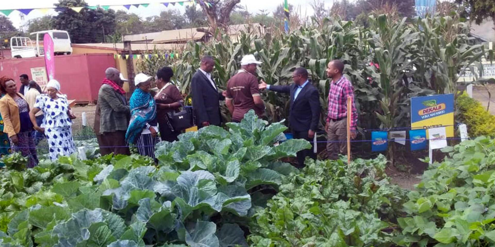 CIAT Showcases &ldquo;Mbili Mbili&rdquo; Technology at the NaneNane Festival in Tanzania