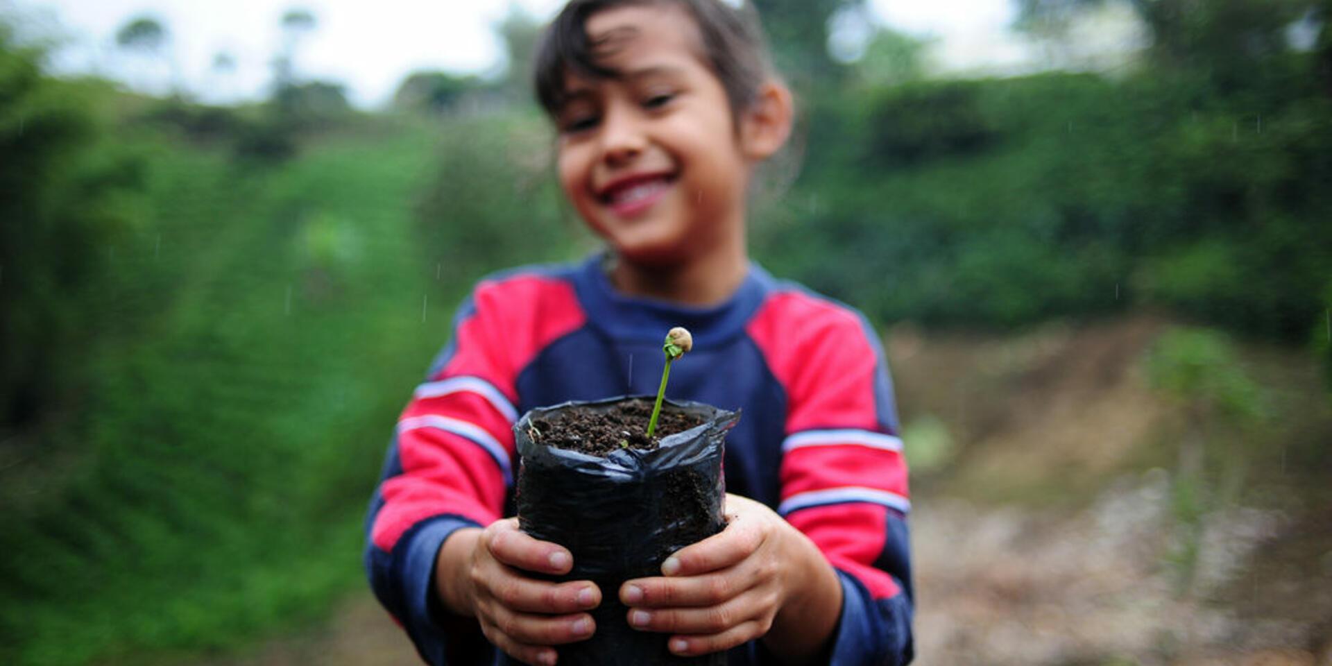 El proyecto Climate Smart Coffee est&aacute; por iniciar en Guatemala y Honduras