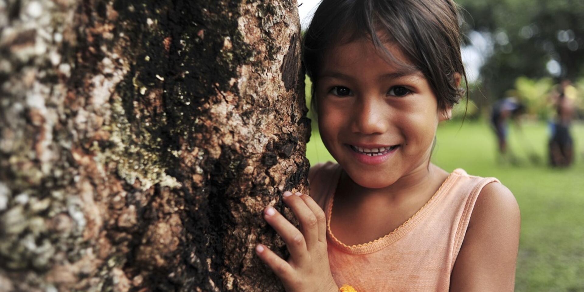 REDD+ as a peacebuilding strategy: what are the opportunities for sustainable food production?