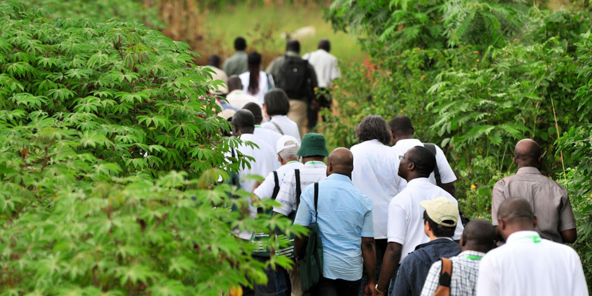 The Global Cassava Partnership for the 21st Century (GCP21) second conference in Kampala, Uganda.