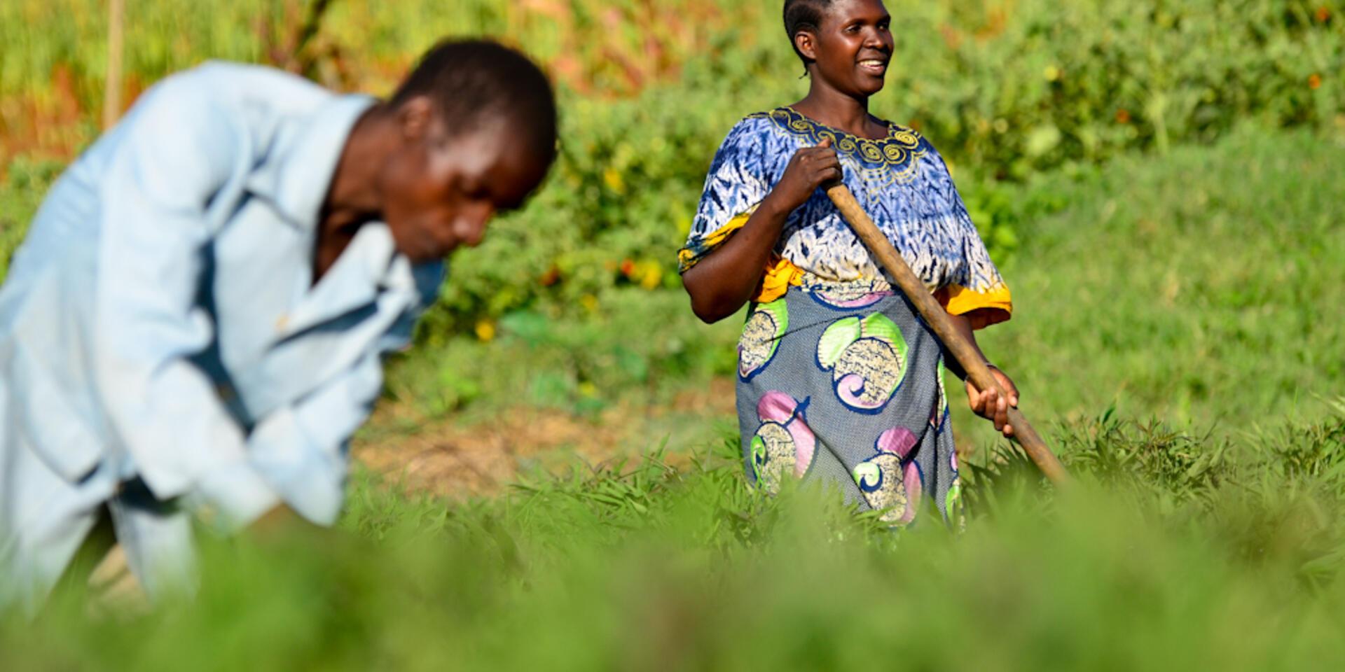 CIAT to coordinate communications, knowledge sharing and information & data management of the CGIAR Gender and Agriculture Research Network