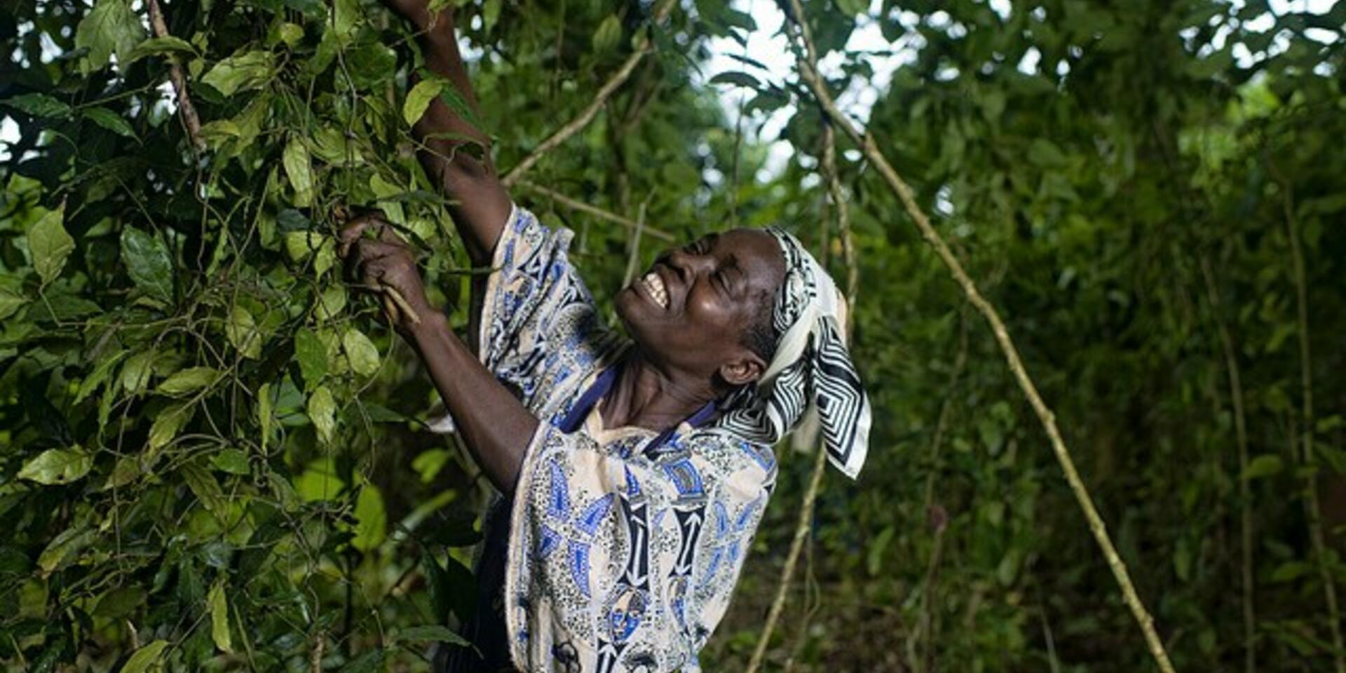 30 years of gender and forests