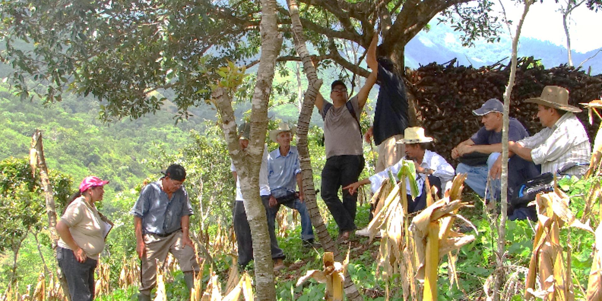 El CIAT y socios del proyecto ABES presentan logros tras cuatro a&ntilde;os de trabajo