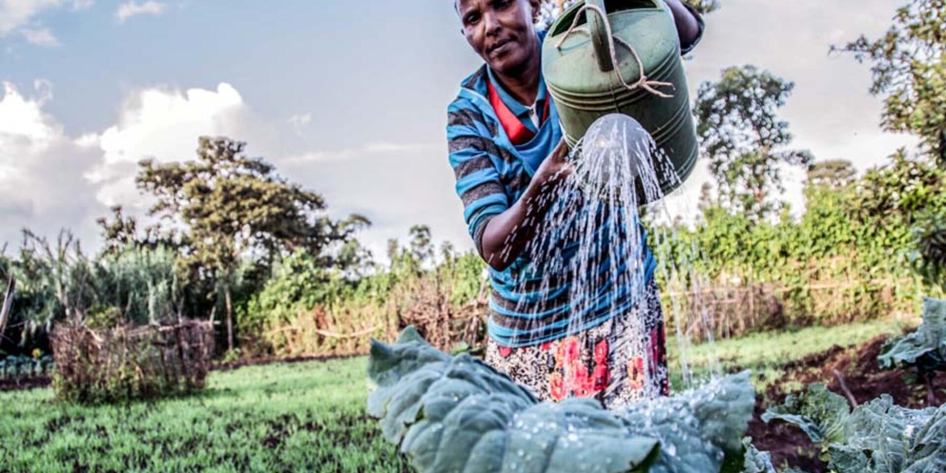 Using cost-benefit analysis to enhance our understanding of livestock management practices in the lowland of Ethiopia