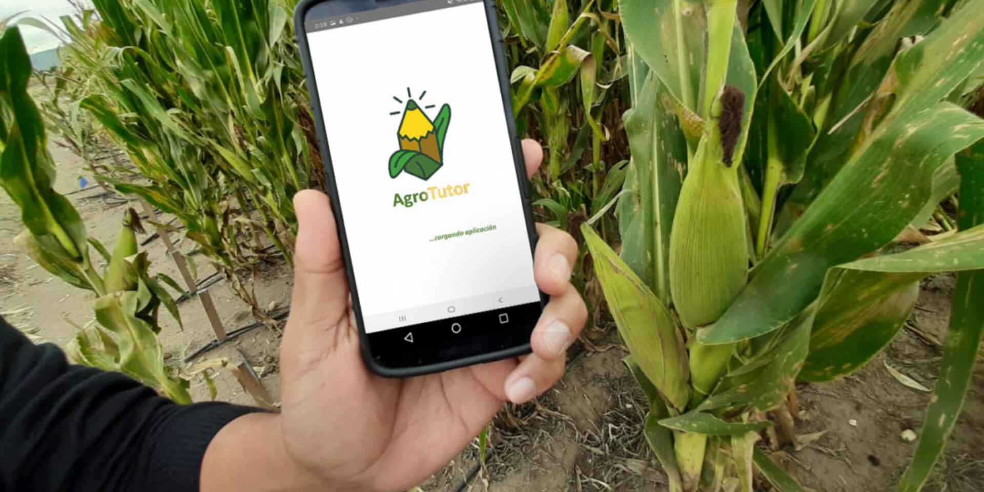 International analytics award goes to CGIAR centers for sustainable agriculture tools