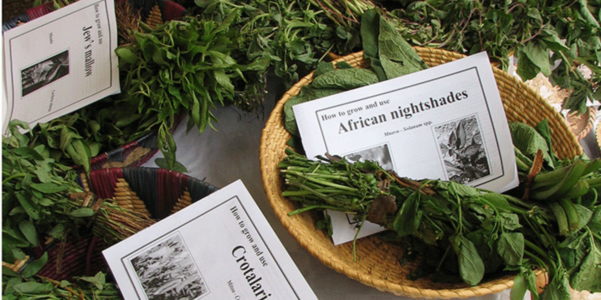 Bioversity International featured at Africa&rsquo;s biggest gathering of nutritionists