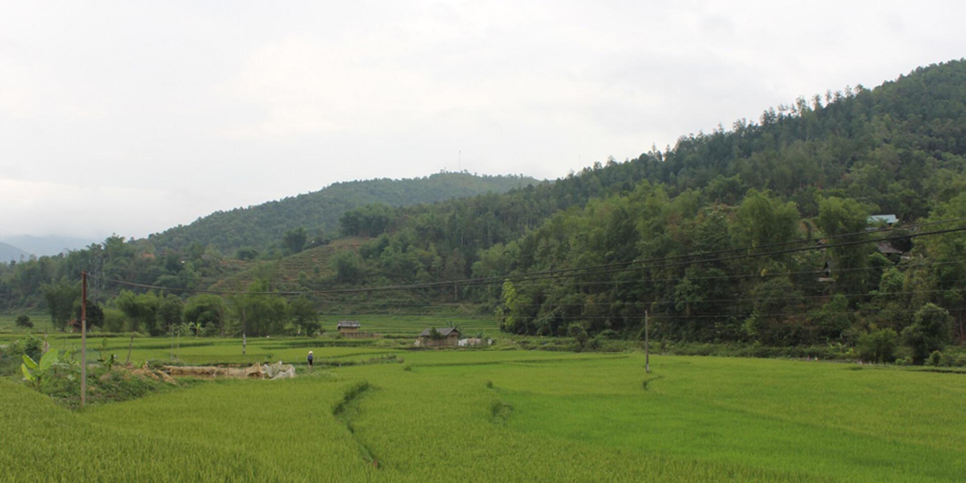 Characterizing agrobiodiversity in one valley: Worlds of two ethnic minority communities, at different scales: An intern perspective