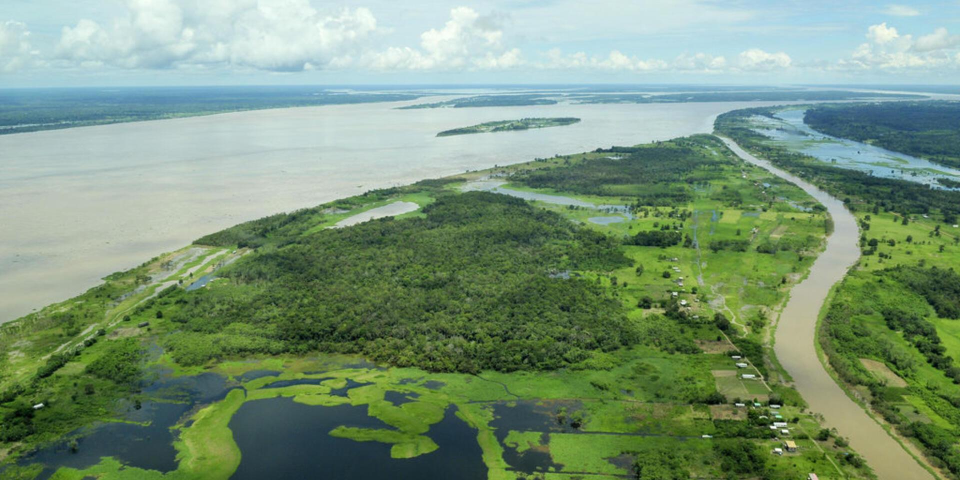 Opinion: We can do better to achieve zero deforestation and low-carbon development | Devex