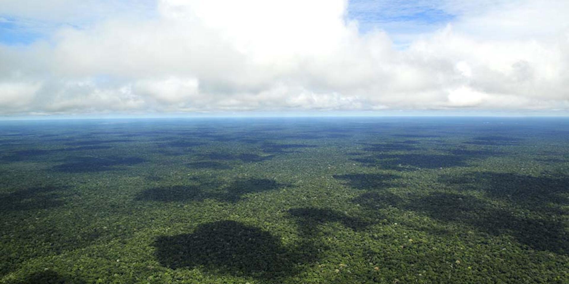 Redrawing the world's peat maps