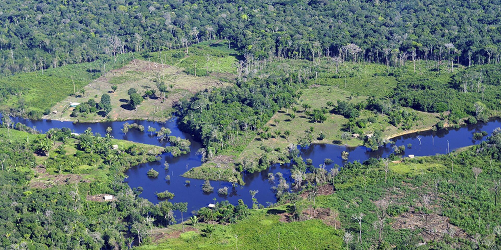 El CIAT lidera proyecto que promueve la reducci&oacute;n de la deforestaci&oacute;n en la Amazonia peruana